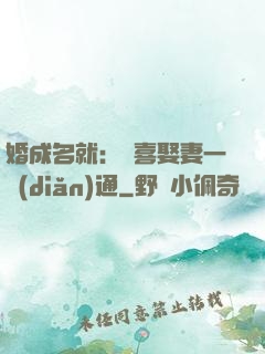 婚成名就：歡喜娶妻一點(diǎn)通