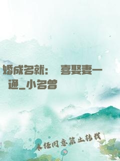 婚成名就：歡喜娶妻一點通