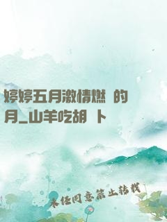 婷婷五月激情燃燒的歲月