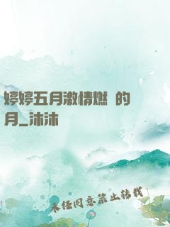 婷婷五月激情燃燒的歲月
