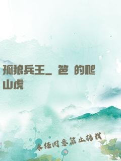 孤狼兵王