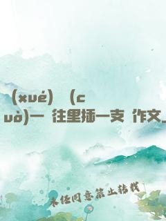 學(xué)長錯(cuò)一題往里插一支筆作文