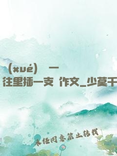 學(xué)長錯一題往里插一支筆作文