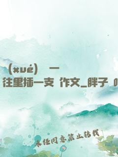 學(xué)長錯一題往里插一支筆作文