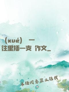 學(xué)長錯一題往里插一支筆作文