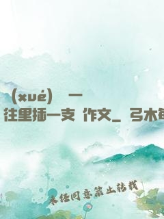 學(xué)長錯一題往里插一支筆作文