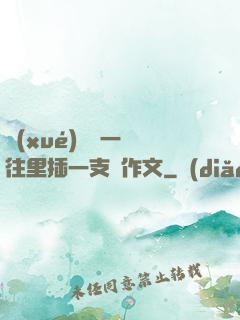 學(xué)長錯一題往里插一支筆作文