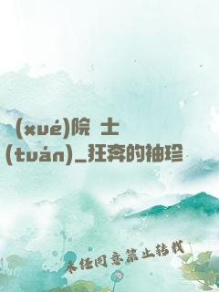 學(xué)院騎士團(tuán)