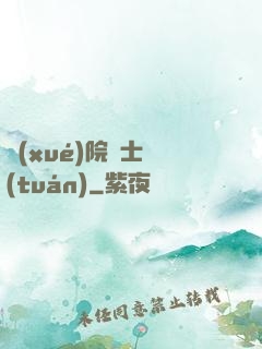學(xué)院騎士團(tuán)