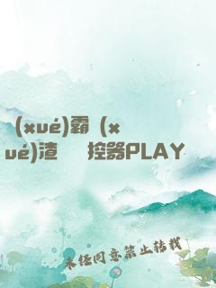 學(xué)霸學(xué)渣講題遙控器PLAY