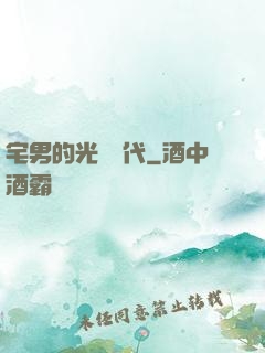 宅男的光輝時代