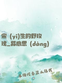 宋醫(yī)生的野玫瑰