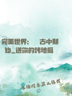 完美世界：從亂古中期開始
