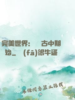 完美世界：從亂古中期開始