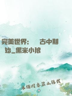 完美世界：從亂古中期開始
