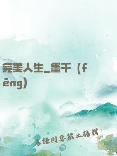 完美人生