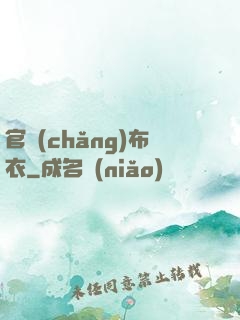 官場(chǎng)布衣