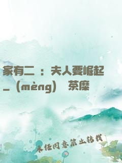 家有二寶：夫人要崛起