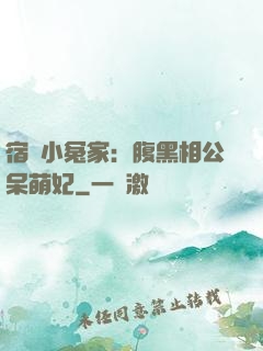 宿敵小冤家：腹黑相公呆萌妃