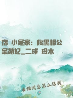 宿敵小冤家：腹黑相公呆萌妃