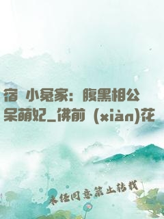 宿敵小冤家：腹黑相公呆萌妃