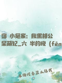 宿敵小冤家：腹黑相公呆萌妃