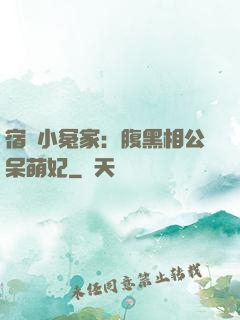 宿敵小冤家：腹黑相公呆萌妃