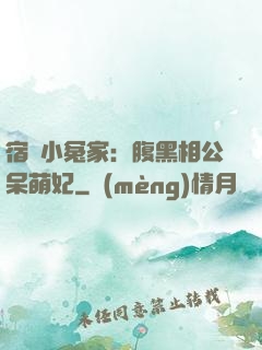 宿敵小冤家：腹黑相公呆萌妃
