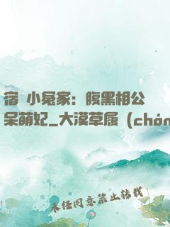 宿敵小冤家：腹黑相公呆萌妃