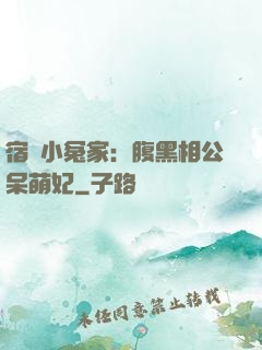 宿敵小冤家：腹黑相公呆萌妃