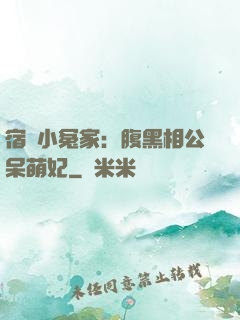 宿敵小冤家：腹黑相公呆萌妃