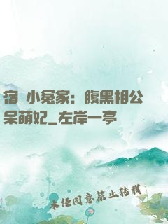 宿敵小冤家：腹黑相公呆萌妃