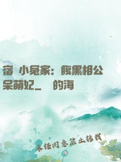 宿敵小冤家：腹黑相公呆萌妃