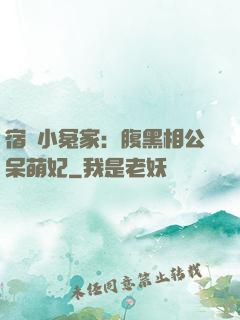 宿敵小冤家：腹黑相公呆萌妃