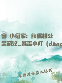 宿敵小冤家：腹黑相公呆萌妃