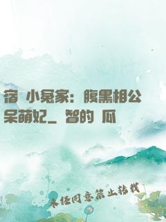 宿敵小冤家：腹黑相公呆萌妃