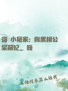 宿敵小冤家：腹黑相公呆萌妃