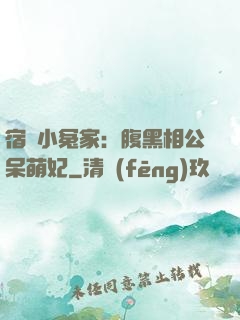 宿敵小冤家：腹黑相公呆萌妃