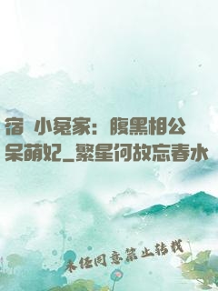 宿敵小冤家：腹黑相公呆萌妃