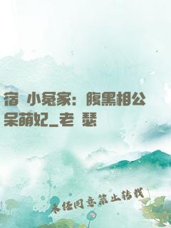 宿敵小冤家：腹黑相公呆萌妃