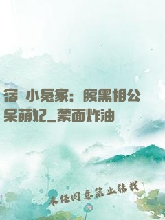 宿敵小冤家：腹黑相公呆萌妃