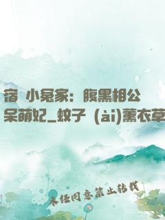 宿敵小冤家：腹黑相公呆萌妃