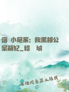 宿敵小冤家：腹黑相公呆萌妃