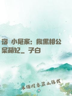 宿敵小冤家：腹黑相公呆萌妃