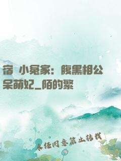 宿敵小冤家：腹黑相公呆萌妃