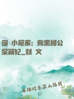 宿敵小冤家：腹黑相公呆萌妃