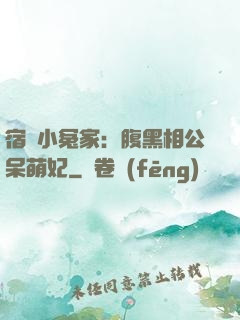 宿敵小冤家：腹黑相公呆萌妃