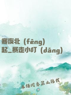 寒夜北風(fēng)起