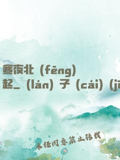 寒夜北風(fēng)起