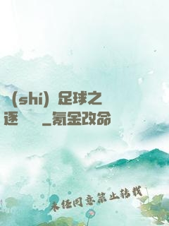 實(shí)況足球之逐夢綠蔭